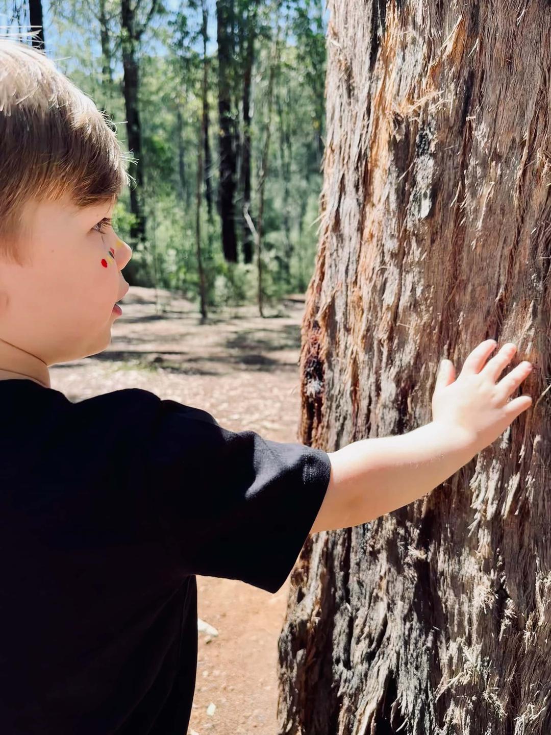Image of child touching tree